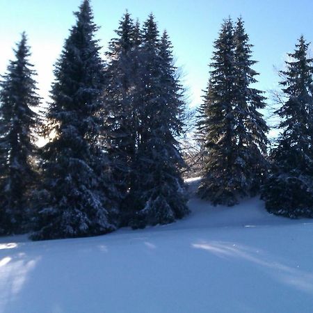 Chalet Daria Premanon Bagian luar foto