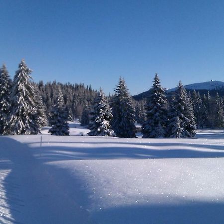 Chalet Daria Premanon Bagian luar foto