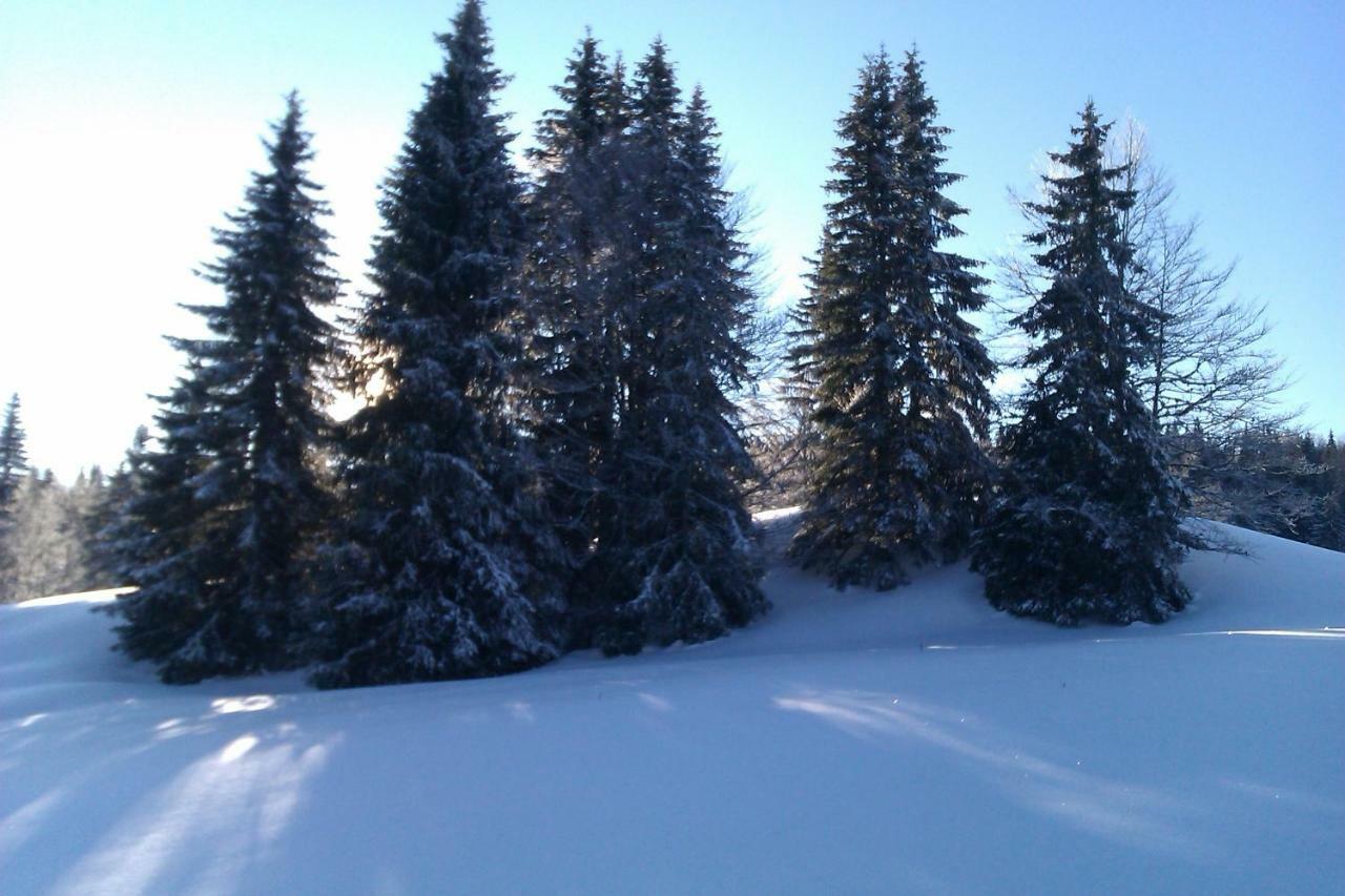 Chalet Daria Premanon Bagian luar foto