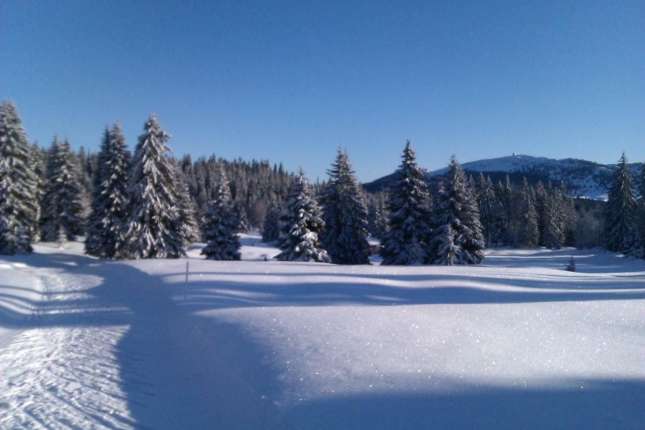 Chalet Daria Premanon Bagian luar foto