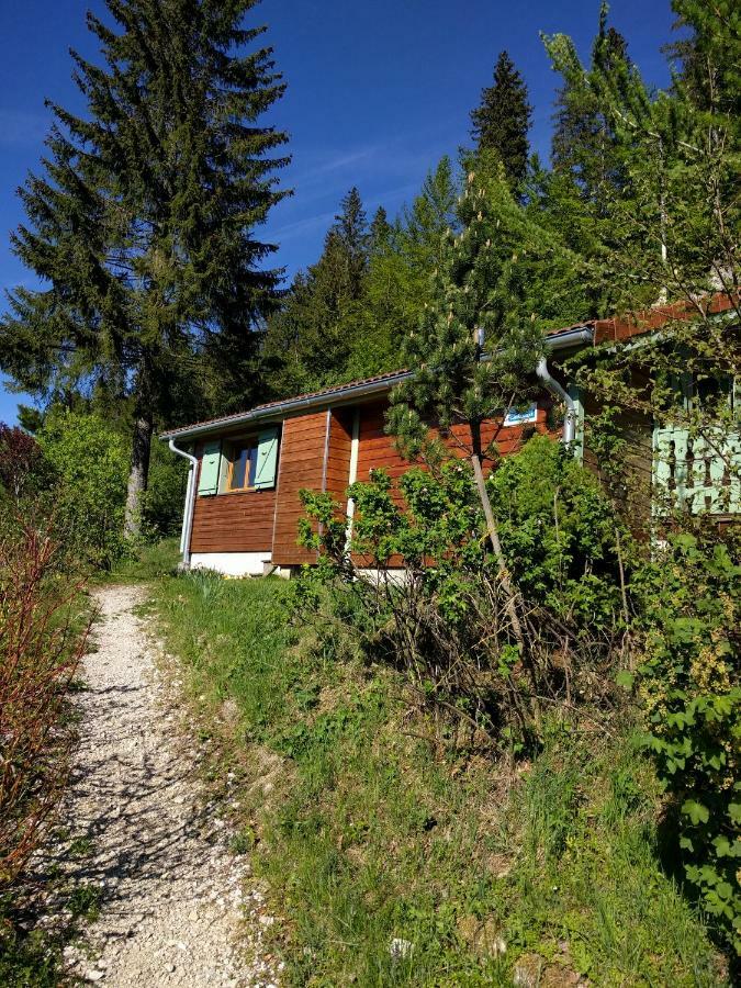 Chalet Daria Premanon Bagian luar foto