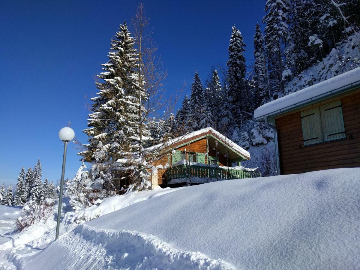Chalet Daria Premanon Bagian luar foto
